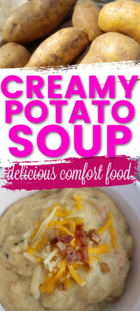 https://www.mediumsizedfamily.com/wp-content/uploads/2020/04/potato-soup-462x1024.png